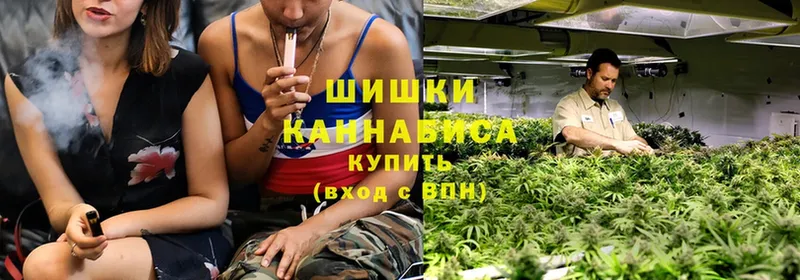 что такое   Борзя  Канабис SATIVA & INDICA 